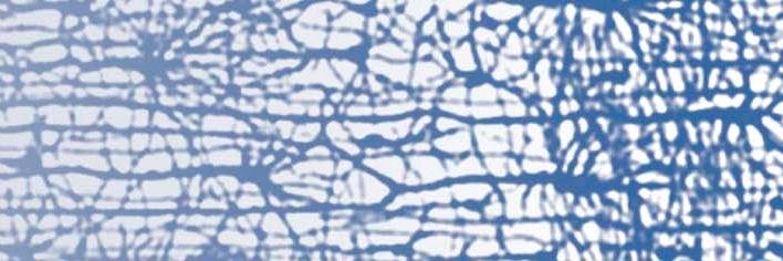 CSNLeics's profile banner image