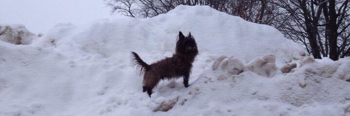 George Lenker banner