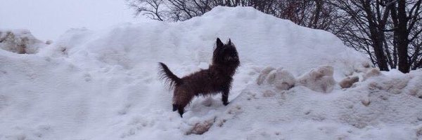 GeoLenk Profile Banner