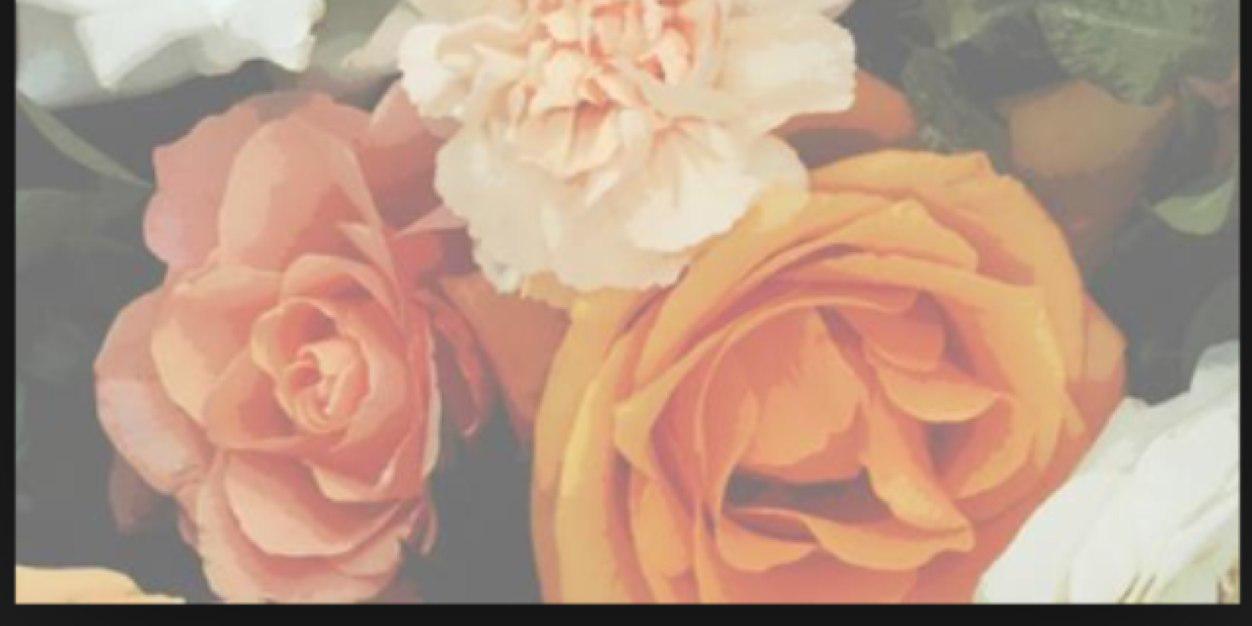 cindyoctvn's profile banner image