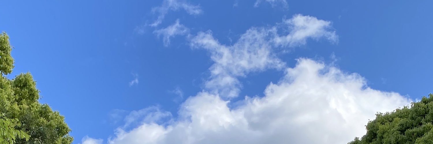 genomu_n's profile banner image