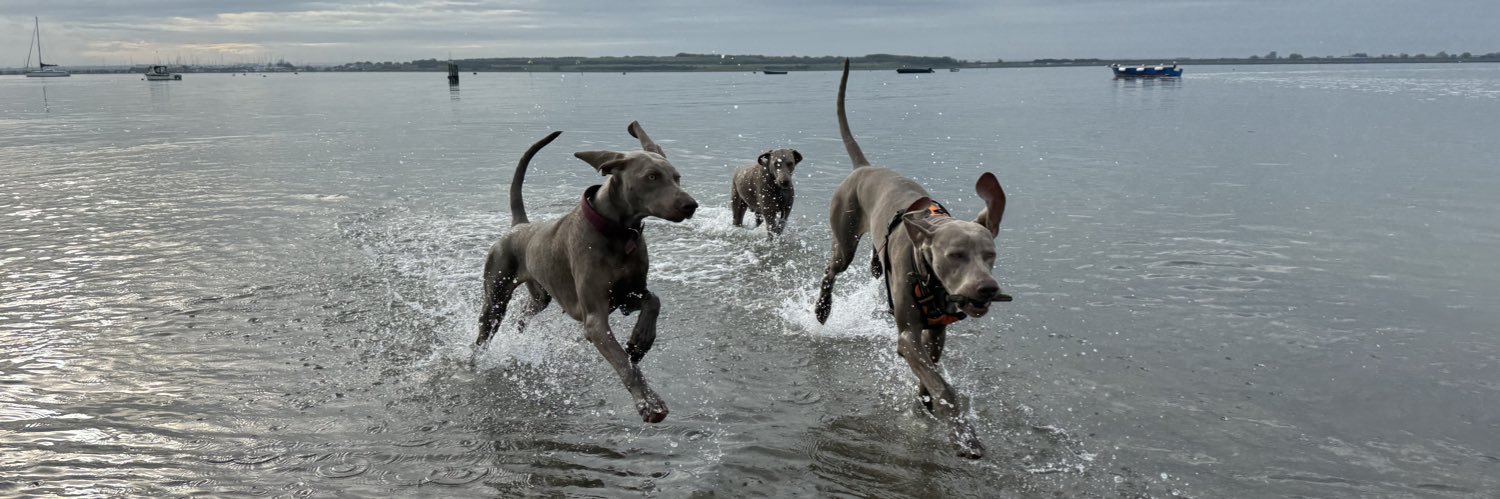 James Neville banner