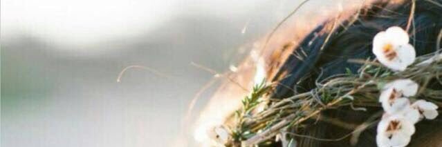 jnoonqlbe's profile banner image
