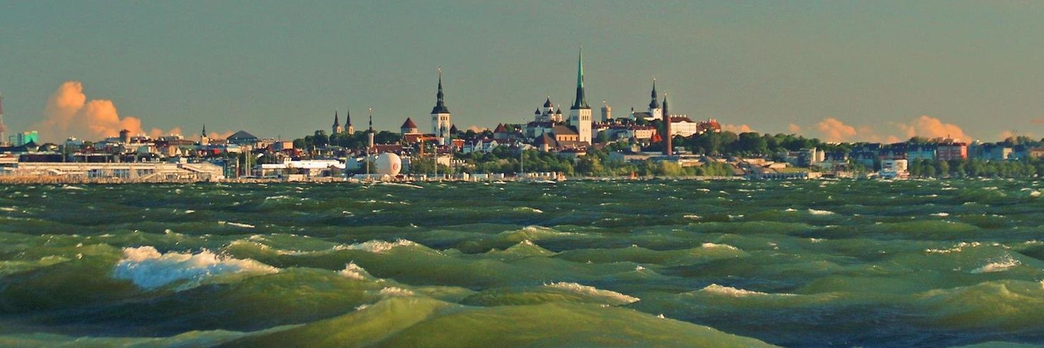 estonianvoodoo's profile banner image