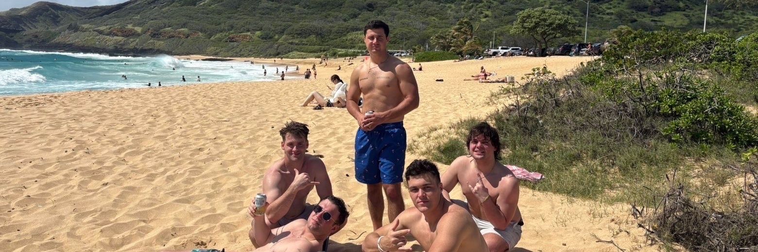 dombradach's profile banner image