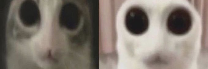 gentlyusedqtip's profile banner image