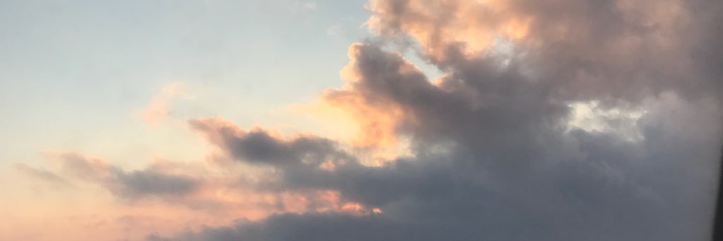 taylor_holt24's profile banner image