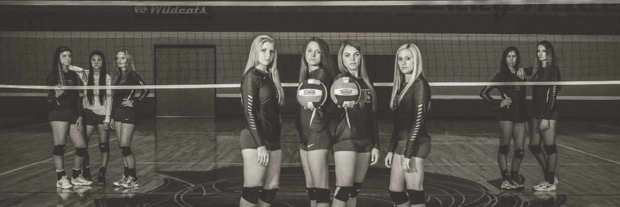PIEDMONTvb's profile banner image
