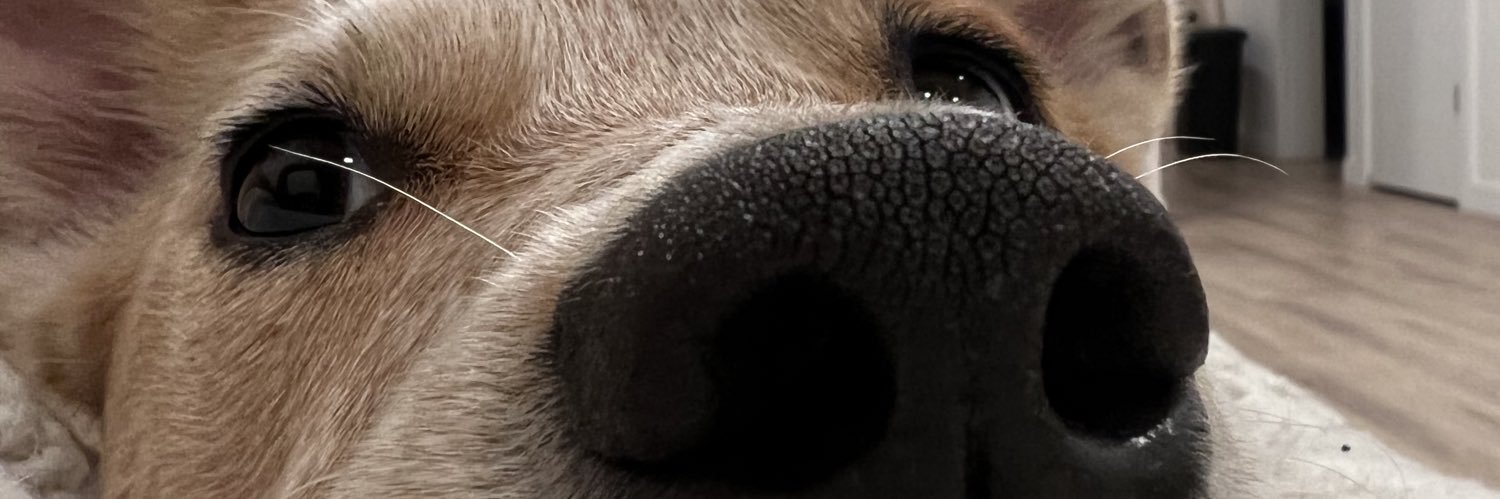 Sarah_Settimo's profile banner image