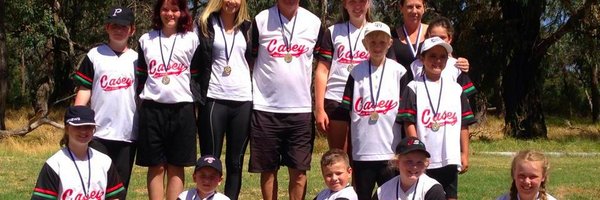 CaseySoftball Profile Banner