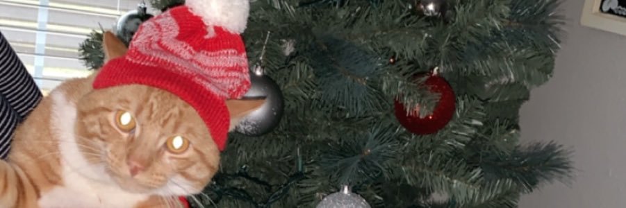 DokataErvin's profile banner image