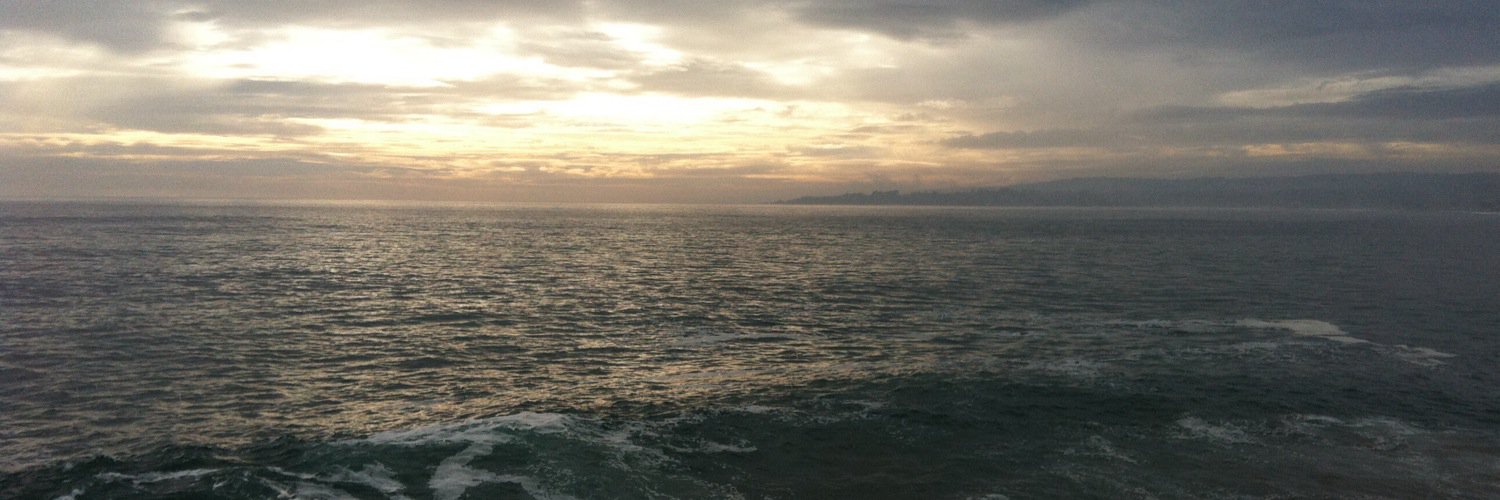 melipillan0's profile banner image
