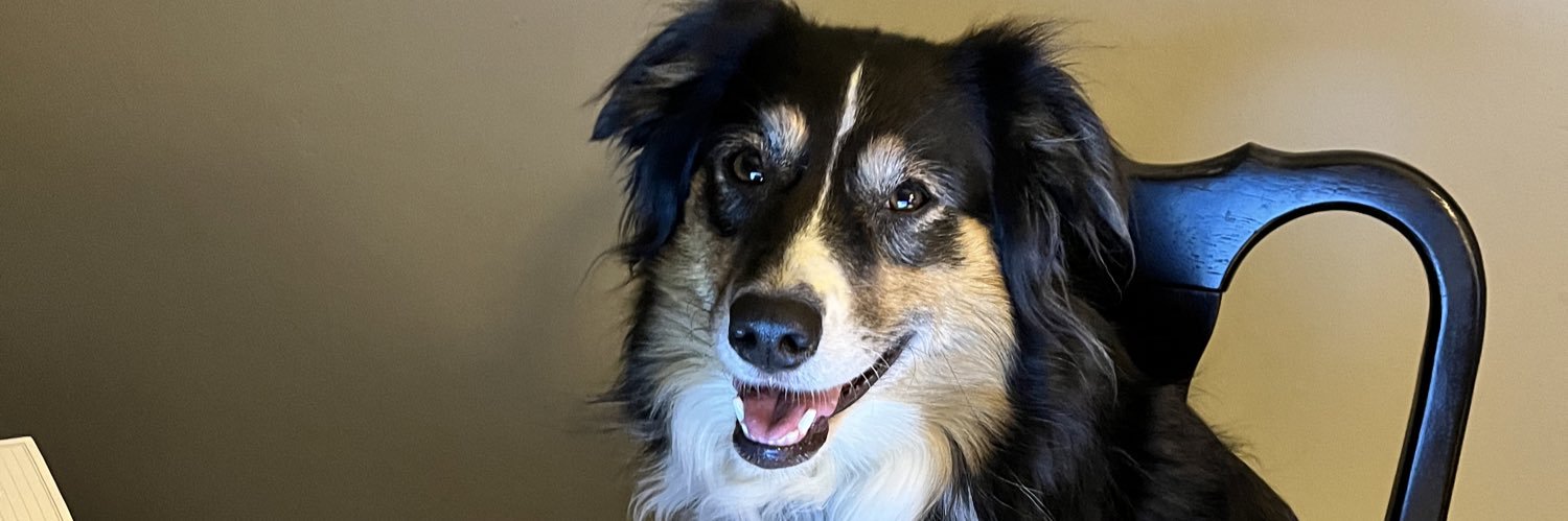 Tricia Toomey ✝️ 🇺🇸🟦 🐅 banner