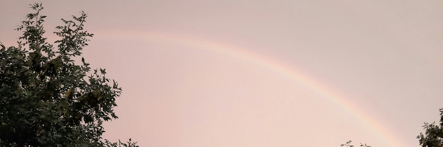 EvRizaeva's profile banner image