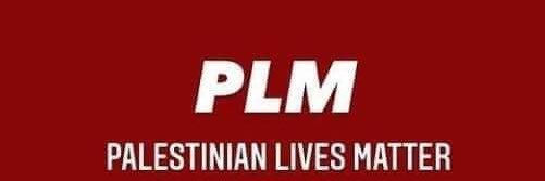 Dina Sh. banner