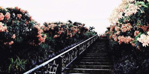DanteAdamsAC's profile banner image