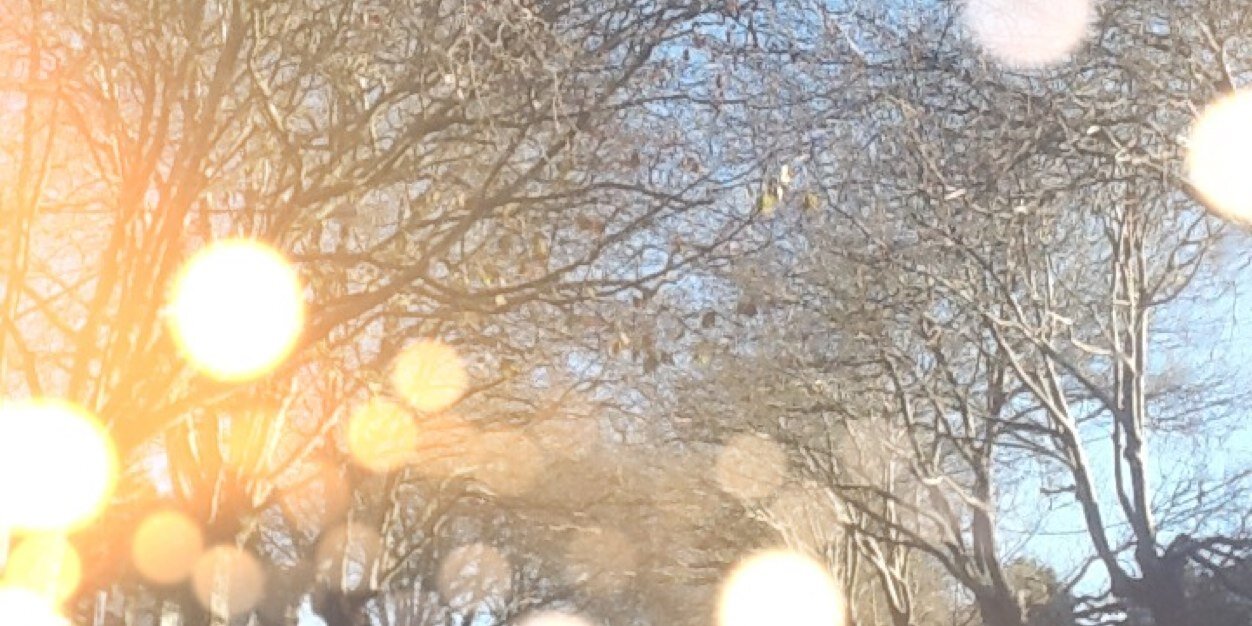 augusta_violet's profile banner image