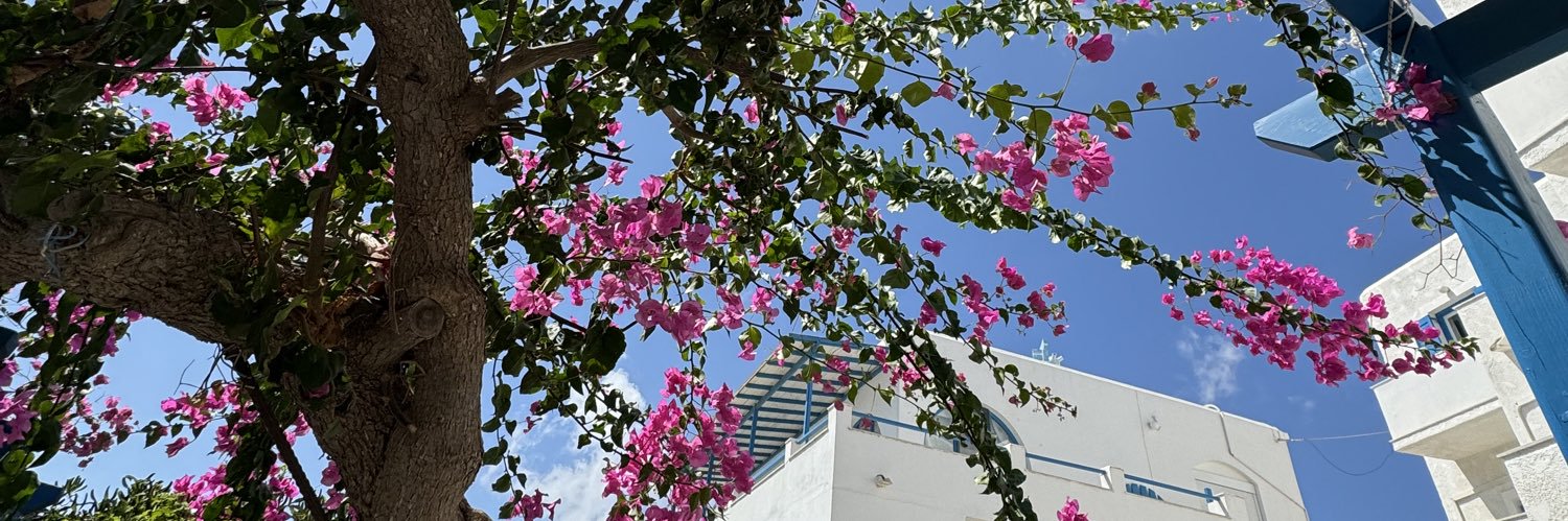 realninaschuler's profile banner image