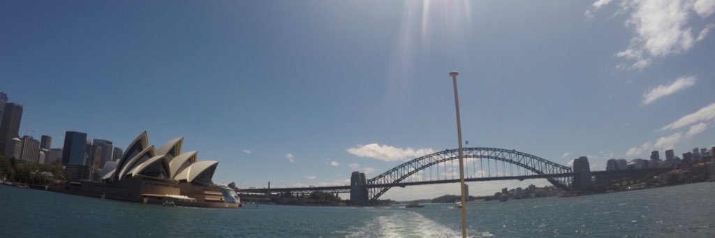 R o s s   C h e e k banner