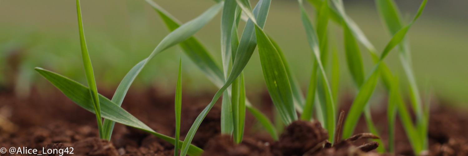 AgConsulting_Co's profile banner image