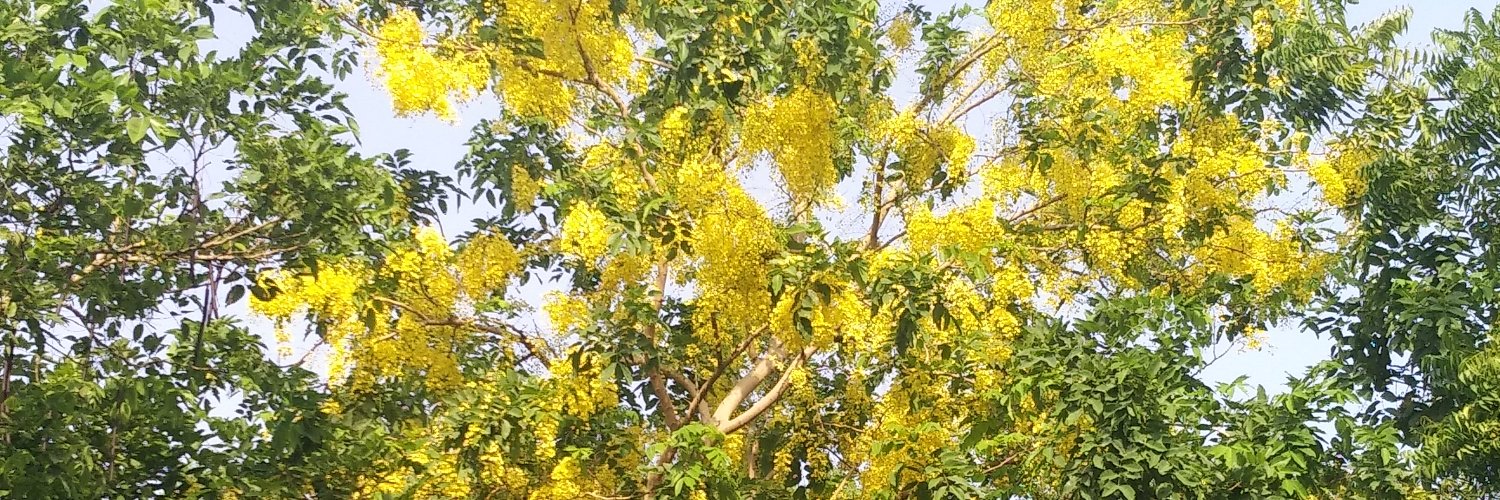 NDevadasan's profile banner image