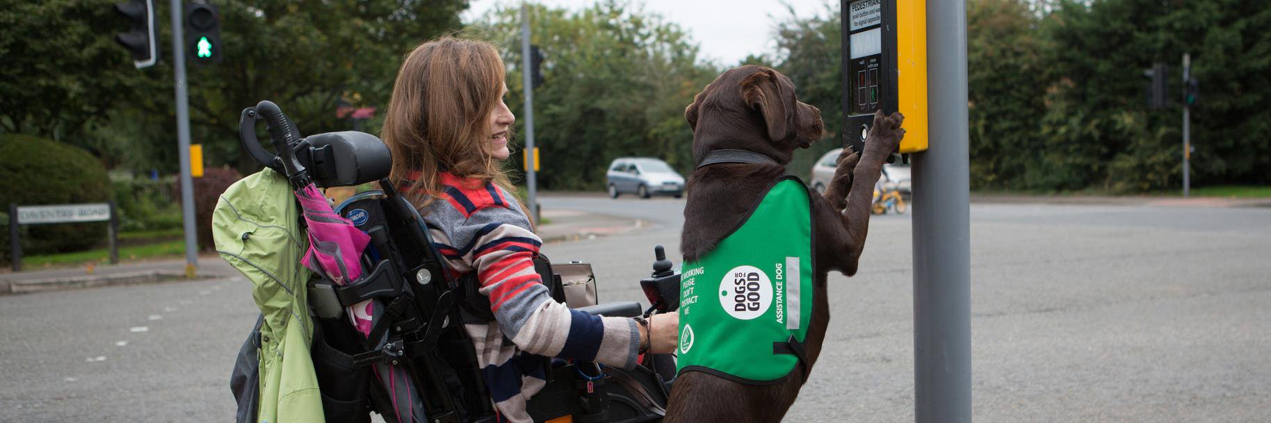 PRDogsforGood's profile banner image