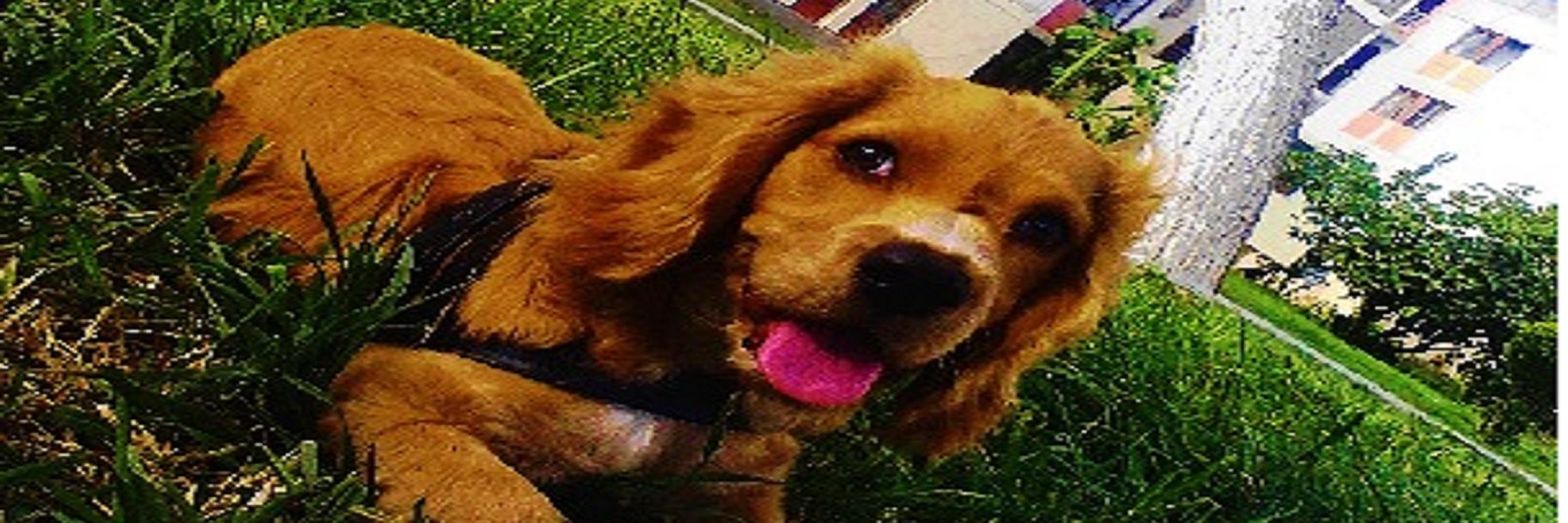 analycq's profile banner image