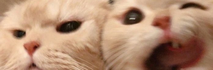 ltcdnd's profile banner image