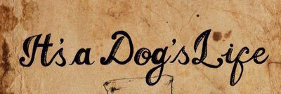 islingtondogs's profile banner image