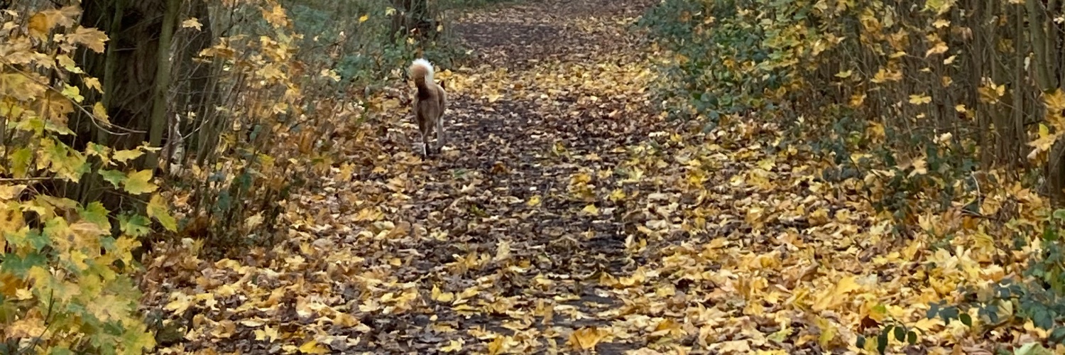 Janette McCormick QPM banner