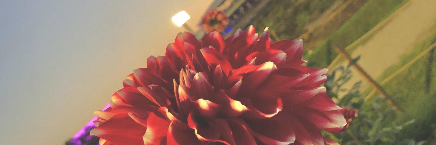 maa_d0623's profile banner image