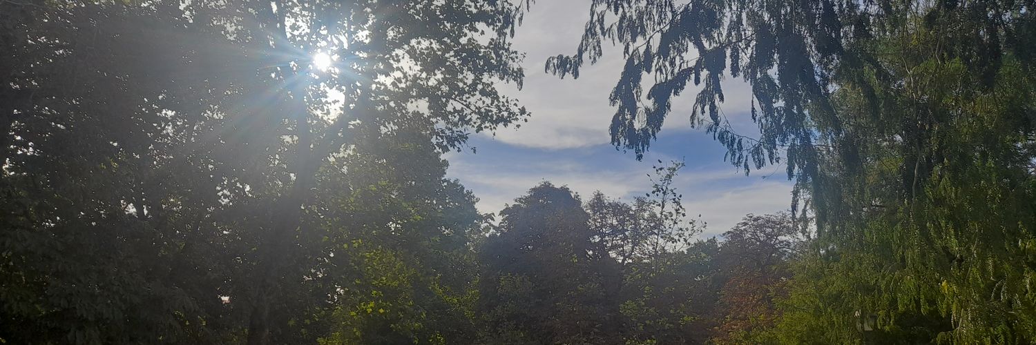 mcorgazconesa's profile banner image