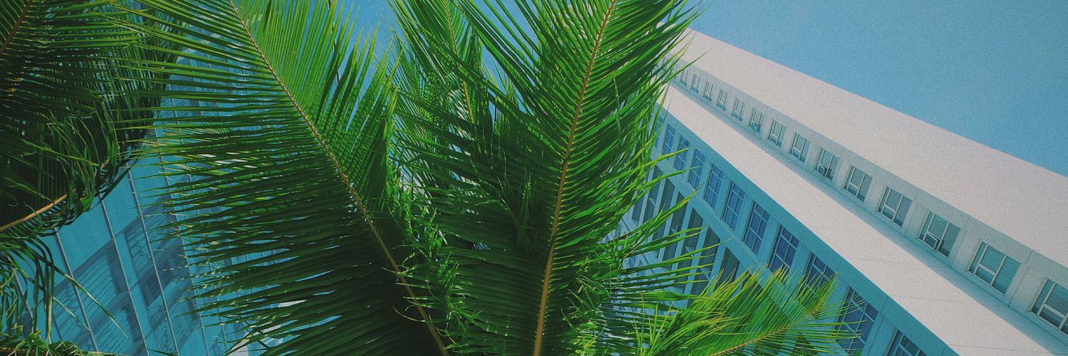 citramusa's profile banner image