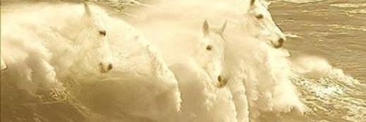 LDWL2010's profile banner image
