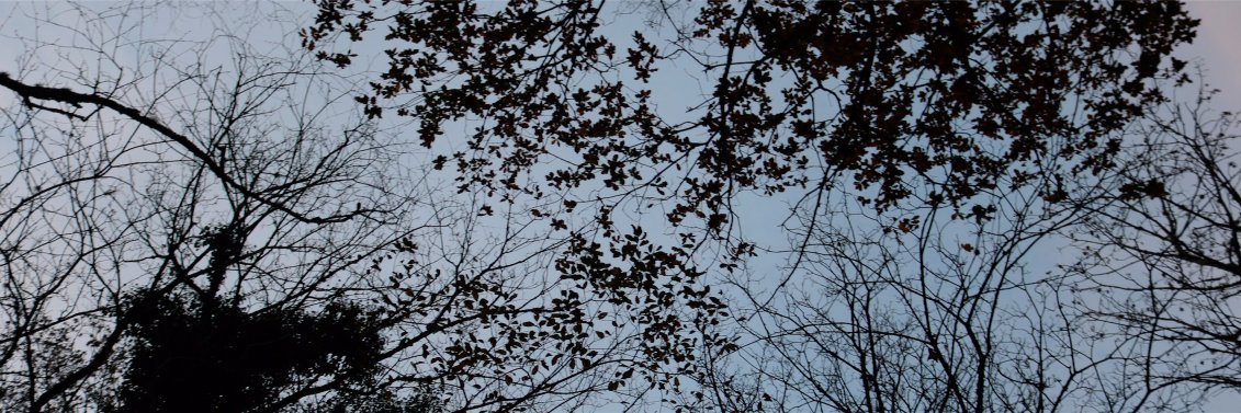 oblivionmusik's profile banner image