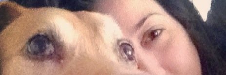 Lydia3620's profile banner image
