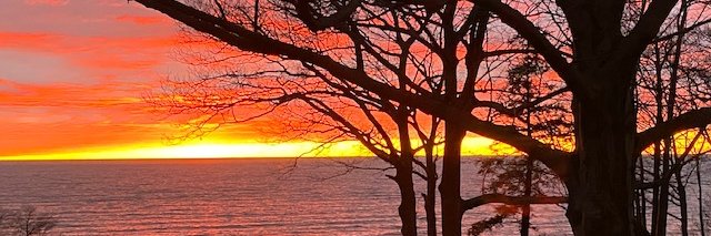 Peter Bicknell Kellner banner