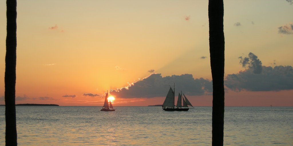 Terry Suppers banner