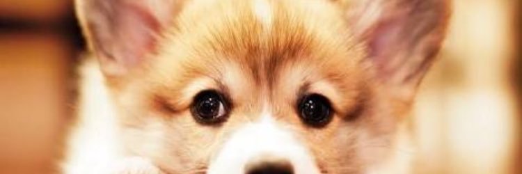 hornymarkbott's profile banner image