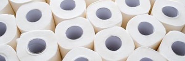 Bum_Tree_ Profile Banner