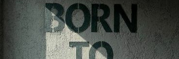 ringotorus's profile banner image