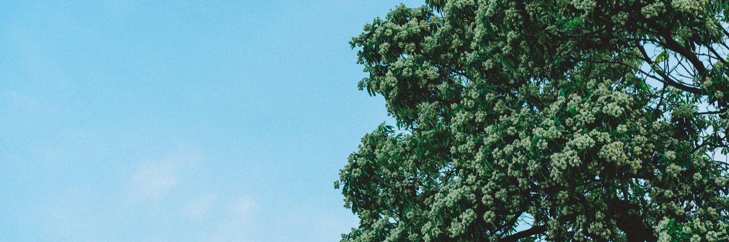 hongpmd's profile banner image