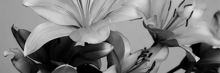 CASÉY SALAZAR banner