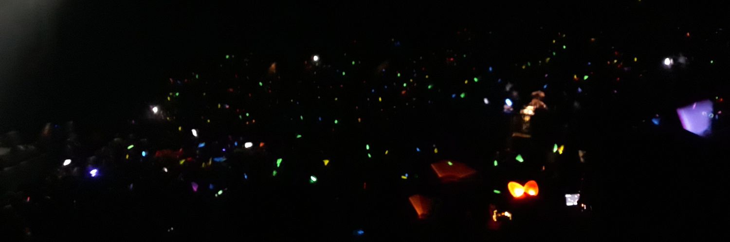 impepapig's profile banner image
