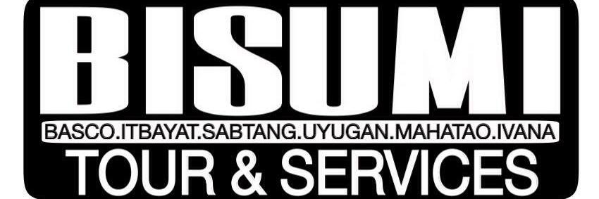 BISUMI Tours banner