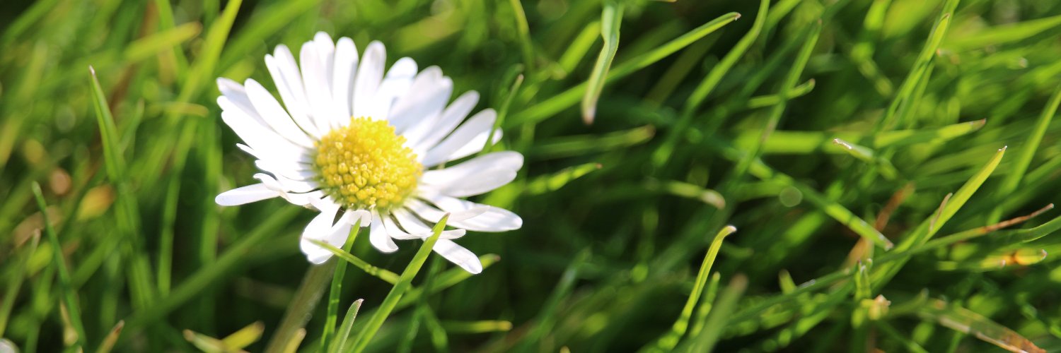 FrauAmEnde's profile banner image