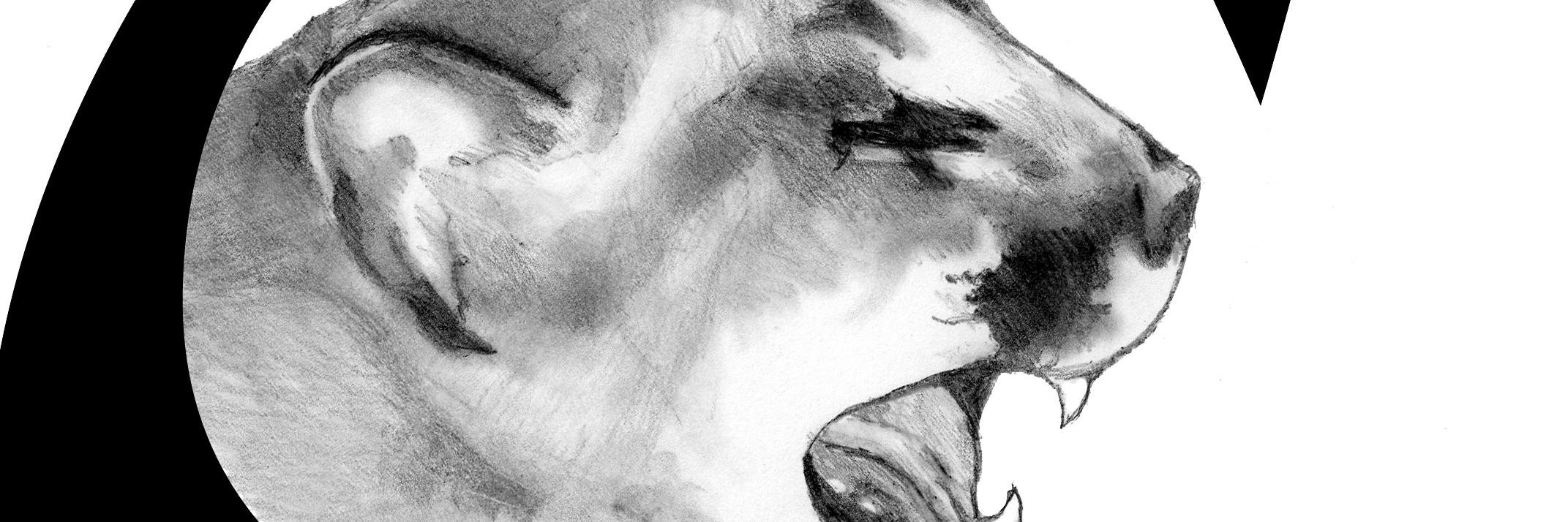 Carter Cougars banner