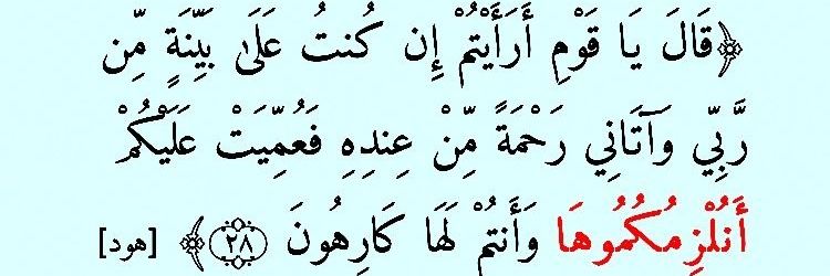 ΕLFΛΤiΗ SΛLiΜ الفاتح سالم banner