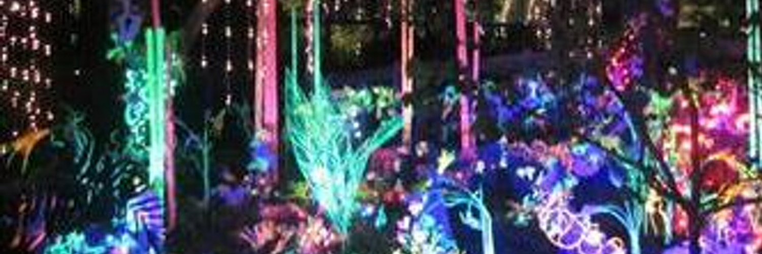 FASTBENNETTMLO9's profile banner image
