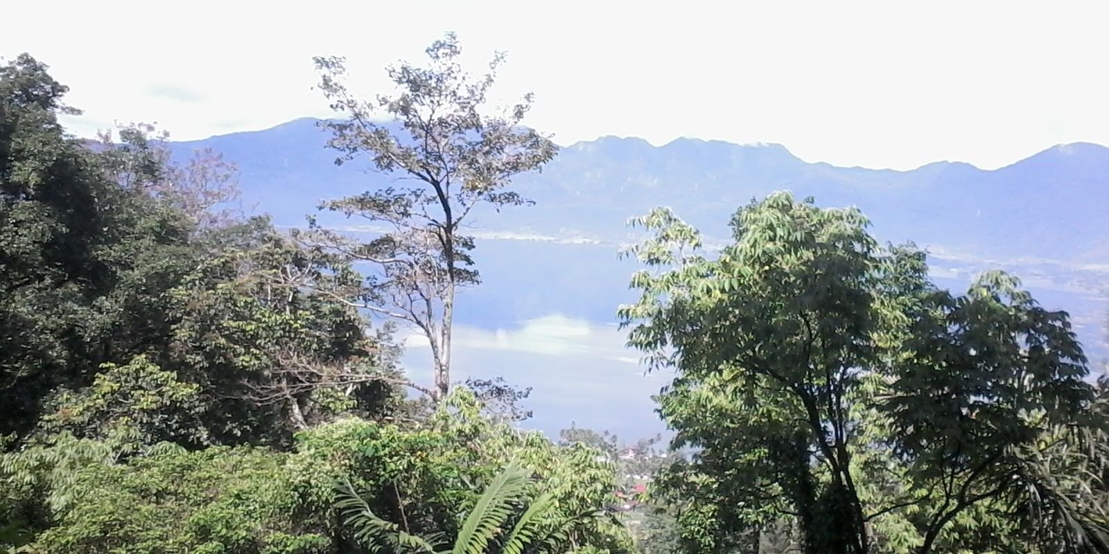 Saipul_Forest's profile banner image